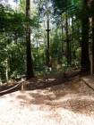 19_Kletterpark_Bendorf_09_07_2011.jpg