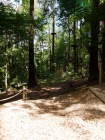 21_Kletterpark_Bendorf_09_07_2011.jpg