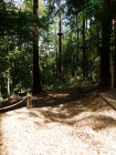 22_Kletterpark_Bendorf_09_07_2011.jpg