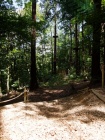 25_Kletterpark_Bendorf_09_07_2011.jpg