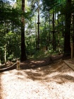26_Kletterpark_Bendorf_09_07_2011.jpg
