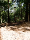 27_Kletterpark_Bendorf_09_07_2011.jpg