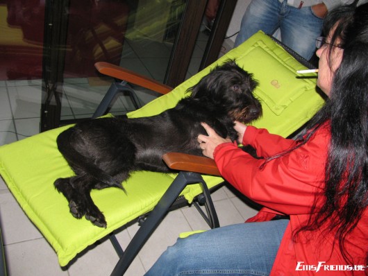 Klicken für Bild in voller Größe