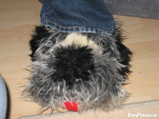 Klicken für Bild in voller Größe